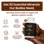 Gut Health Essentials - Black Friday