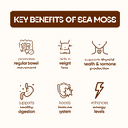 Organic Sea Moss (Pills)
