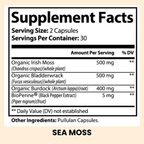 Gut Health Essentials - Black Friday